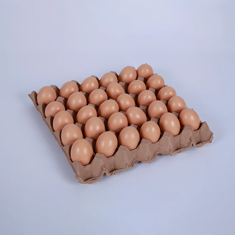 Hot High Quality S / M / L Three Sizes Wholesale Clear Plastic 30 Holes Egg Tray