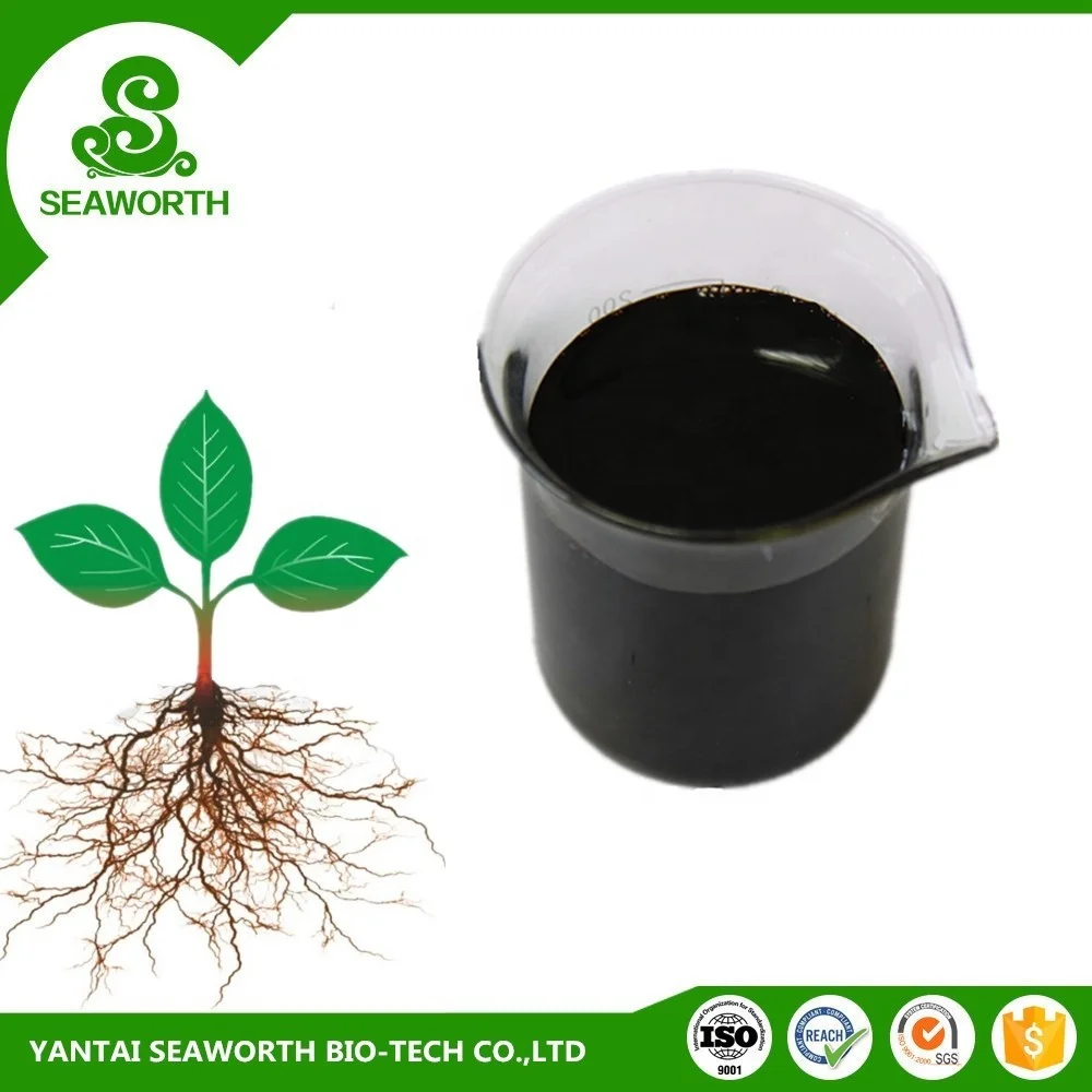 Best quality plant growth enhancer for the world