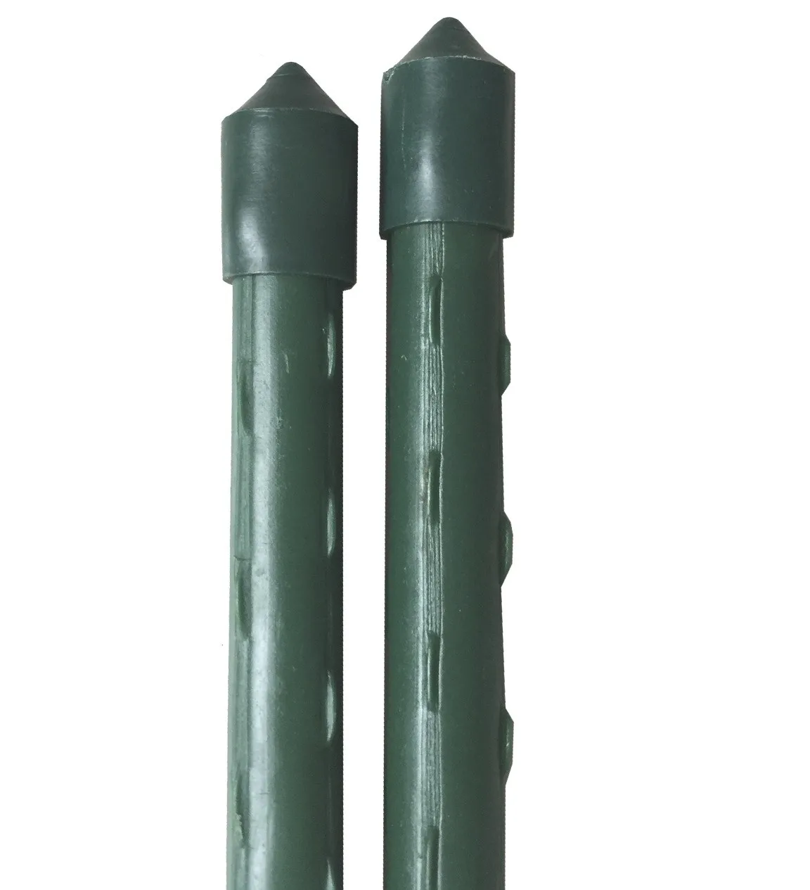 PE coated steel plant support garden stake