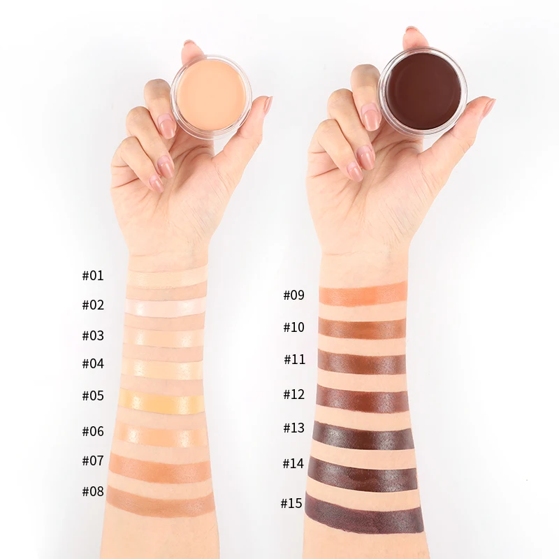 Private Label Concealer Creamy Makeup Long Lasting Full Coverage OEM 15 Colors Custom Logo Concealer For Face And Body
