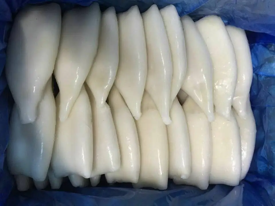 Замороженный кальмар IQF тубус для кальмаров todarodes pacificus морепродукты