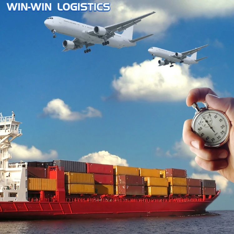 International Safe And Efficient Logistics China To Paraguay Uruguay Door To Door Sea Freight Shipping Fastest Speed