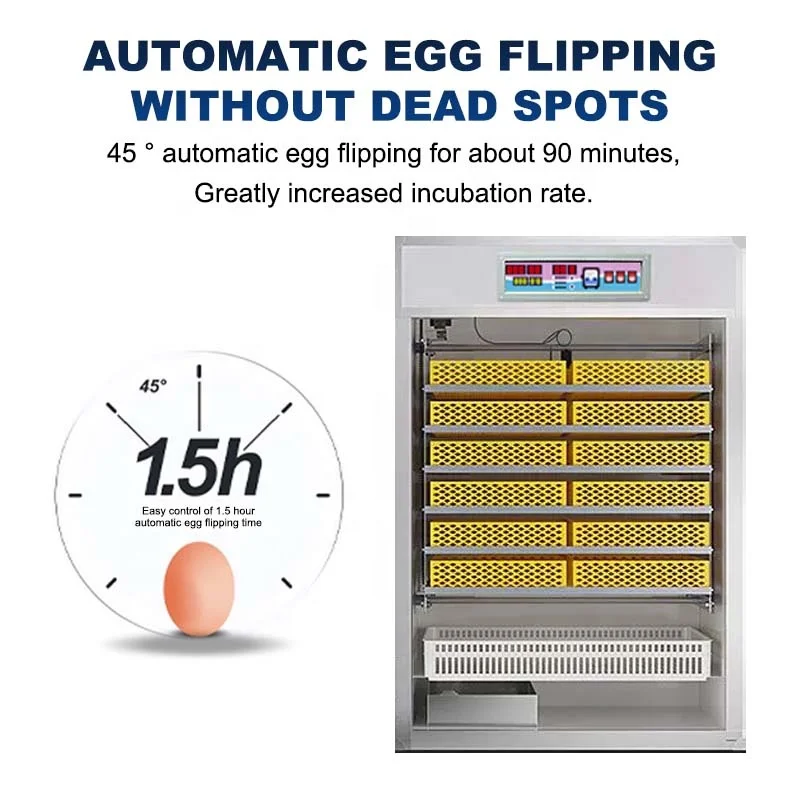 Factory direct sales automatic 1000 2500 incubator 5000 eggs Egg Incubators with price