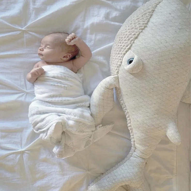 Ins hot style dolphin pillow soft sea animal pillow baby toy