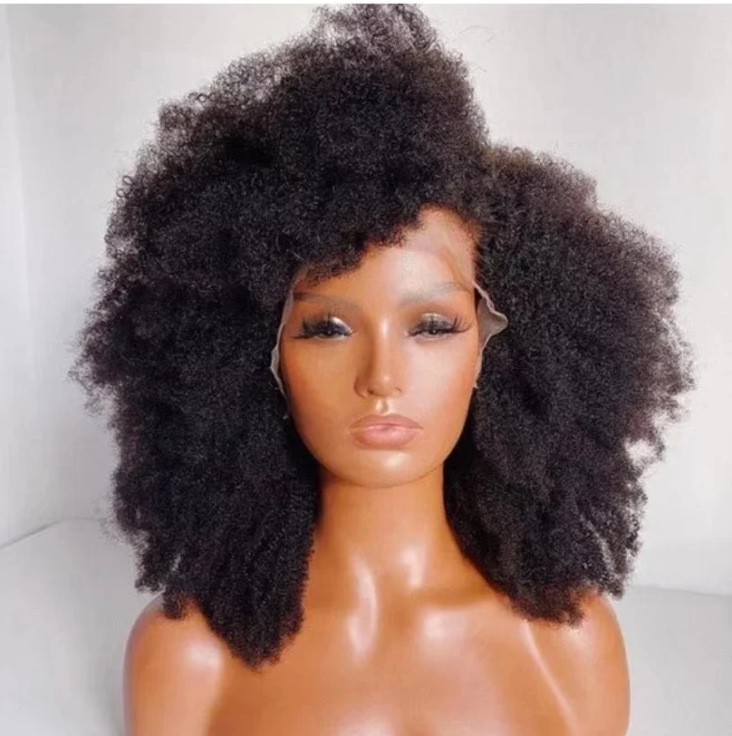 Hot Sale High Quality Brazilian Virgin Human Hair Afro Kinky Curly Lace Front Wig Swiss Transparent lace For Black Women
