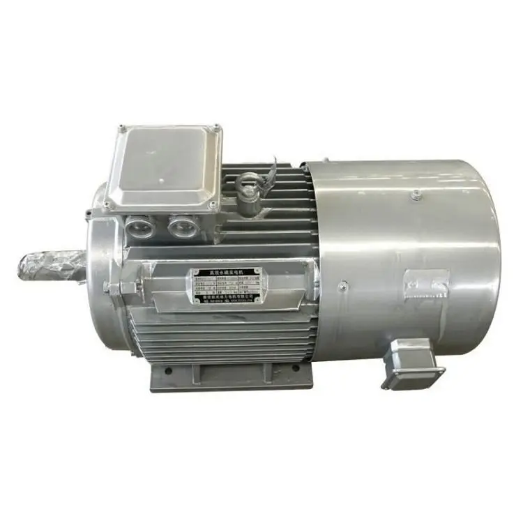 AC 3 Phase Alternator 10KW Low RPM 200 Watt Permanent Magnet Alternator Customized 350Kw Permanent Magnet Generator