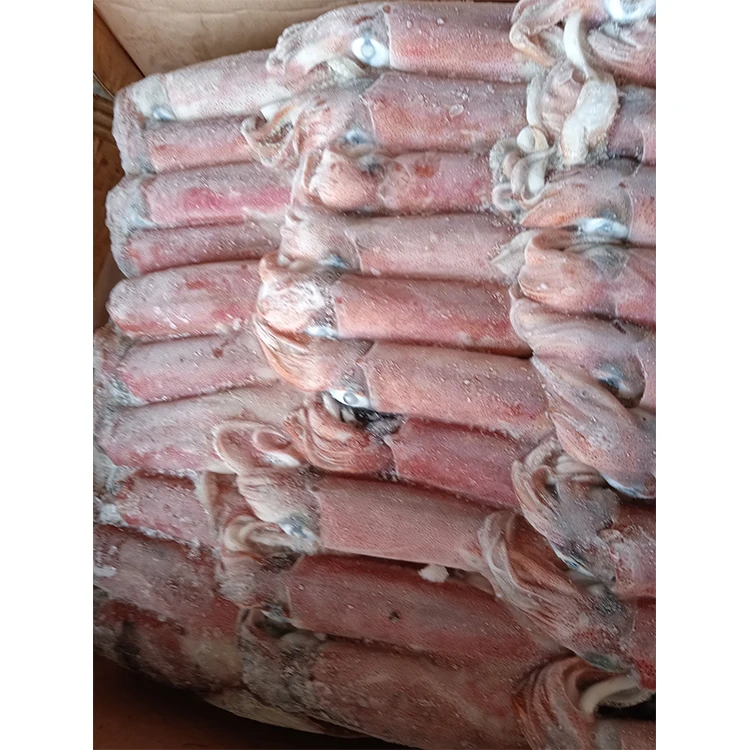 Новое поступление оптовая продажа морепродуктов SANFENG кальмары Замороженные Кальмары Loligo для