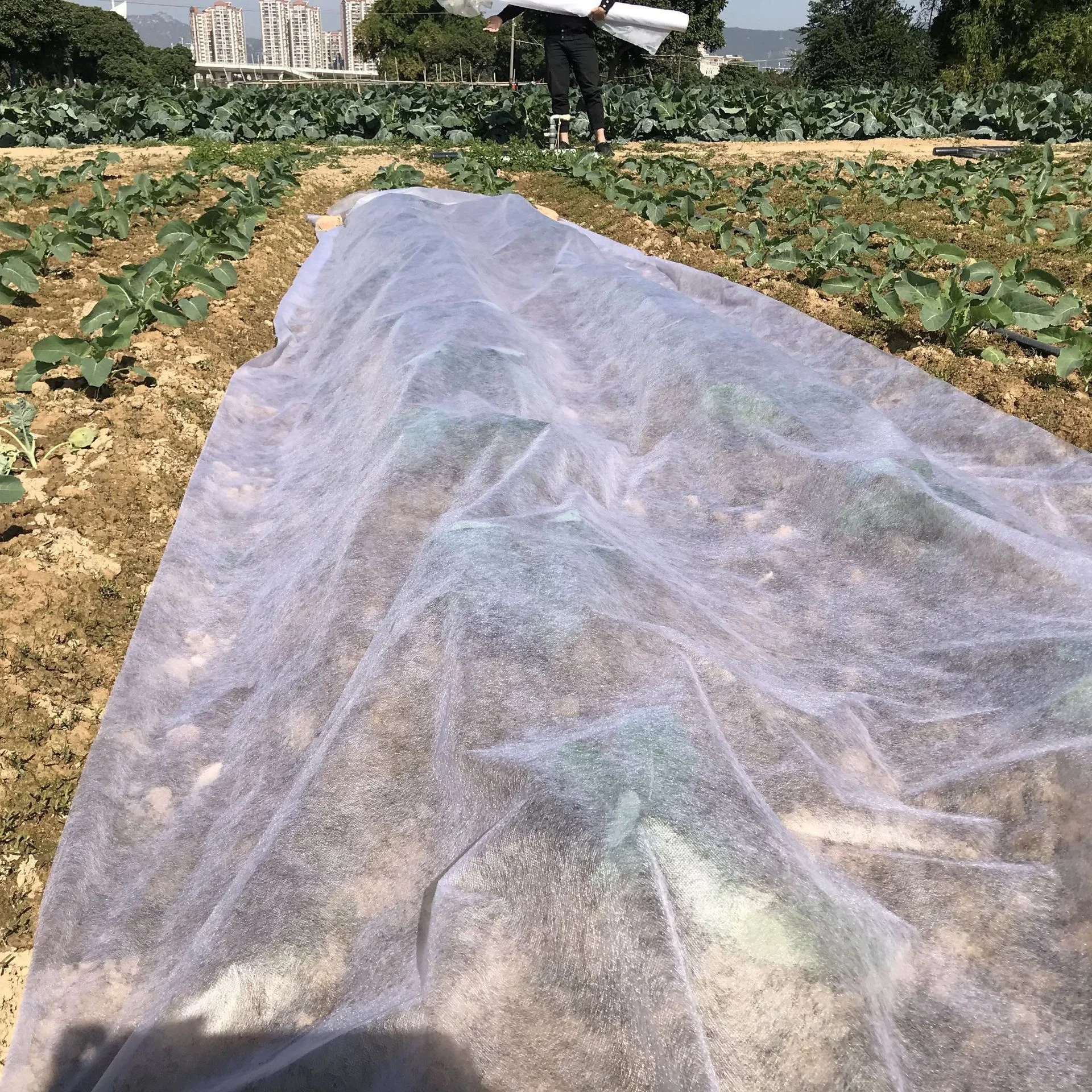 Agricultural pp spunbond woven fabric /agriculture ground cover for plant,flower,fruit and crop protection