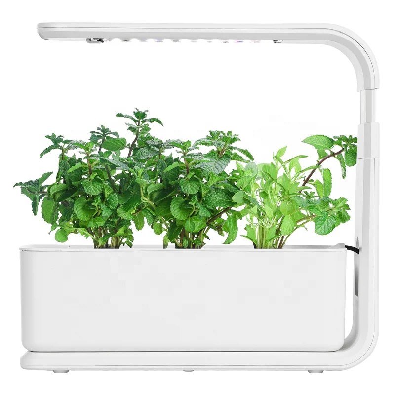 Full automatic 3 pods hydroponics indoor vertical farming wall growing system made in china
