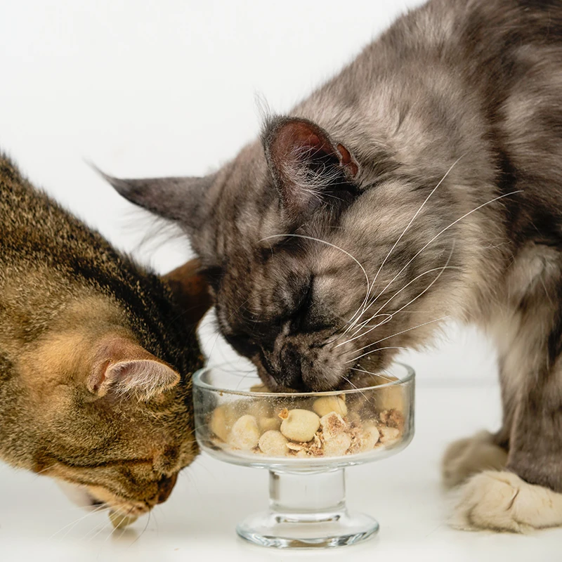 OEM Manufacturer Price Peptido Factory Freeze-Dried Pet Snacks Universal Cat Snacks 60g Cat Snacks