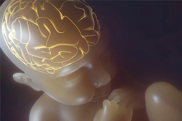 
CABIO best seller arachidonic acid oil powder 506-32-1 