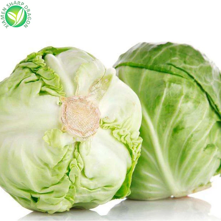 Кусочки из капусты, нарезанные кубиками кубики, китайские оптовые цены, Замороженные Свежие зеленые природные Семена капусты съедобные SD 10 кг