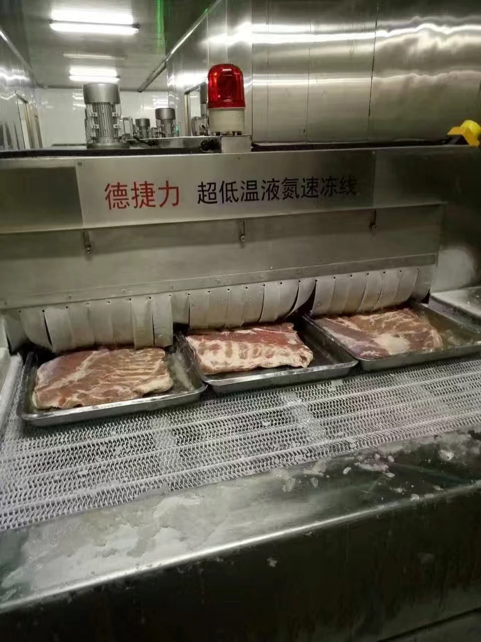 Cryogenic Liquid Nitrogen Freezing Equipment Price Iqf Freezing  Freezer For Food Pork Meat Steak