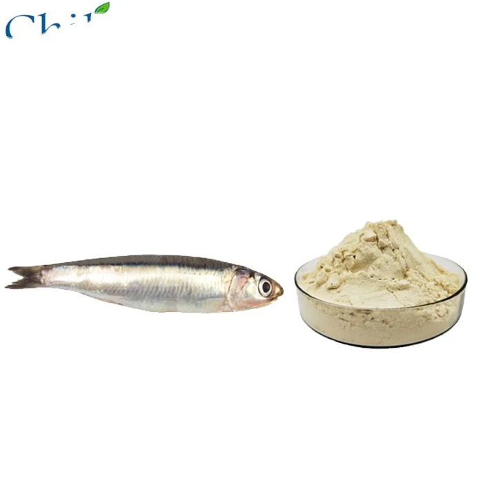 Omega 3 DHA fish oil power  Nature raw materials factory supplier