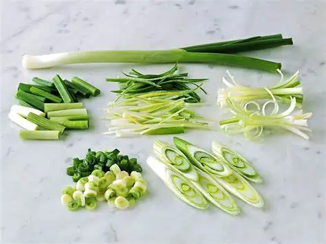 KWS China exporter green scallions green fresh onion