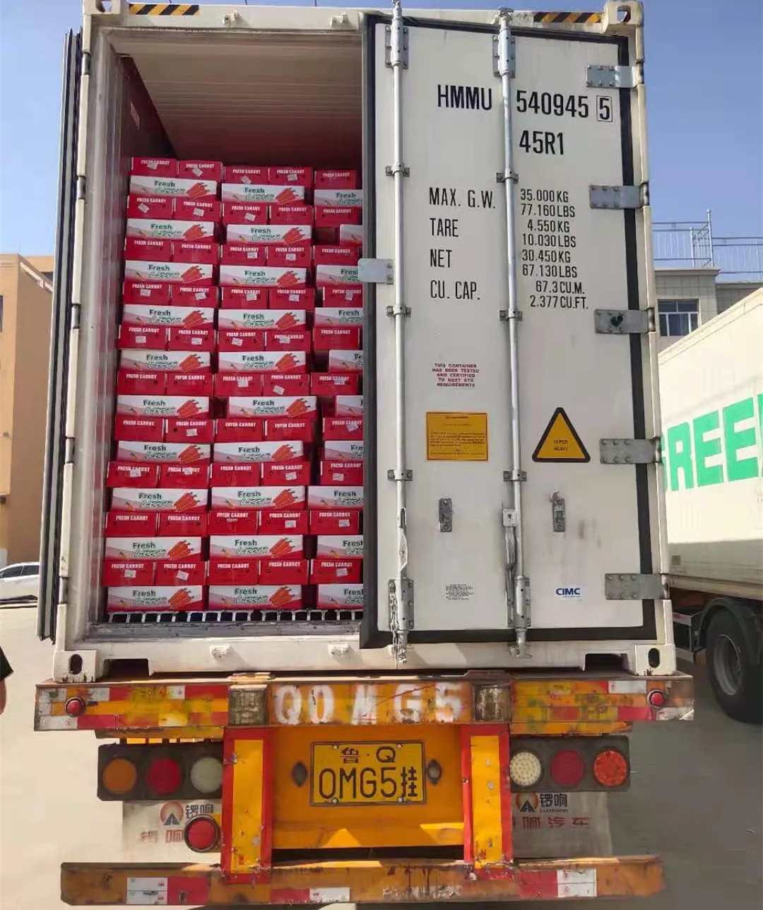 chinese fresh carrot S M L 2L 3L Shandong new crop Qingdao port