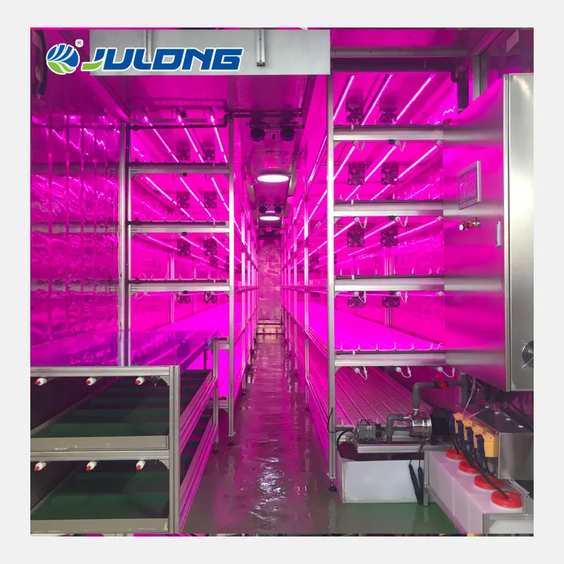 Shipping Container Farm Plant Factory  Hydroponics Vertical Farming Container Growing System