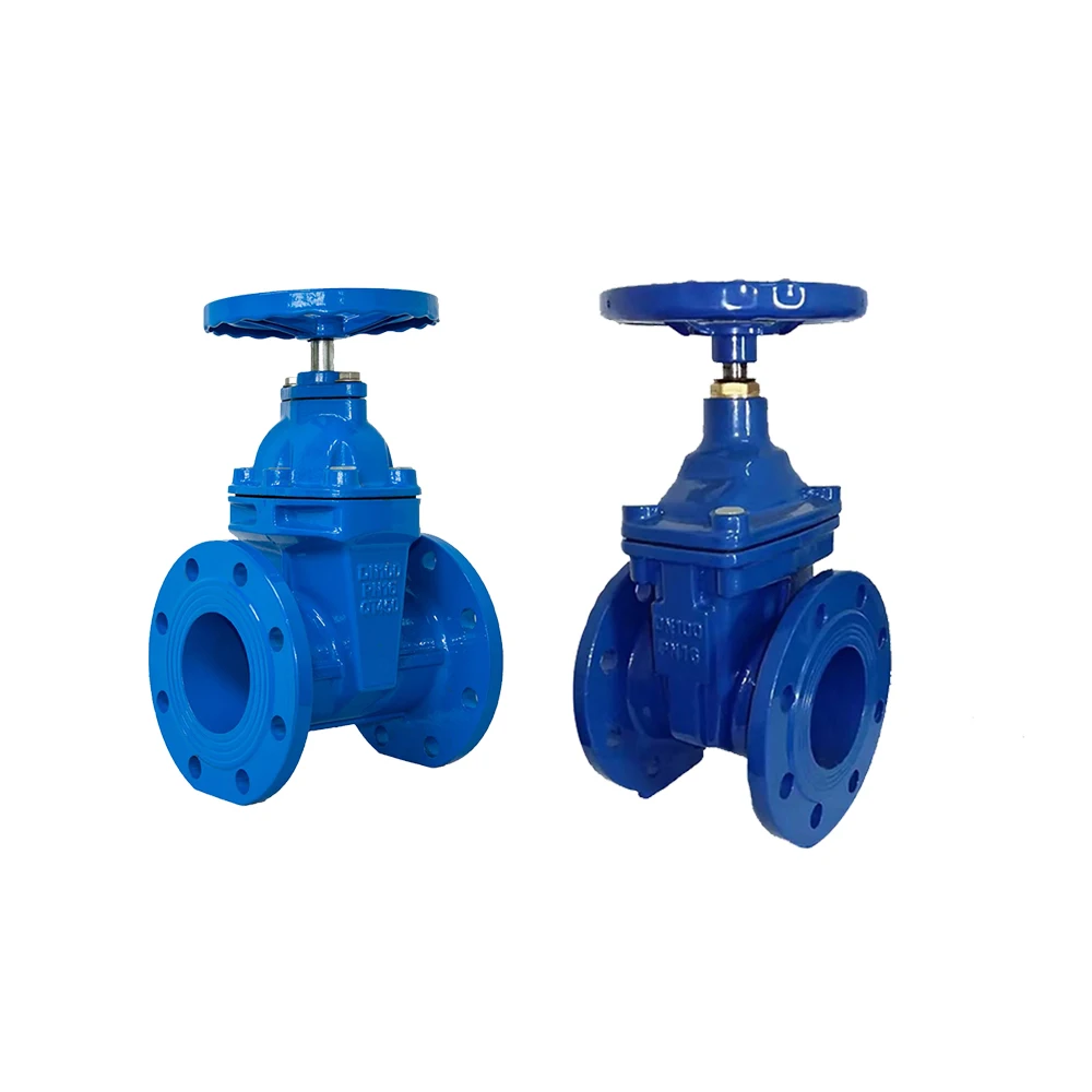 Cast Iron Customized Stem Ductile Iron Resilient Wedge Disc Seat Gate Valve