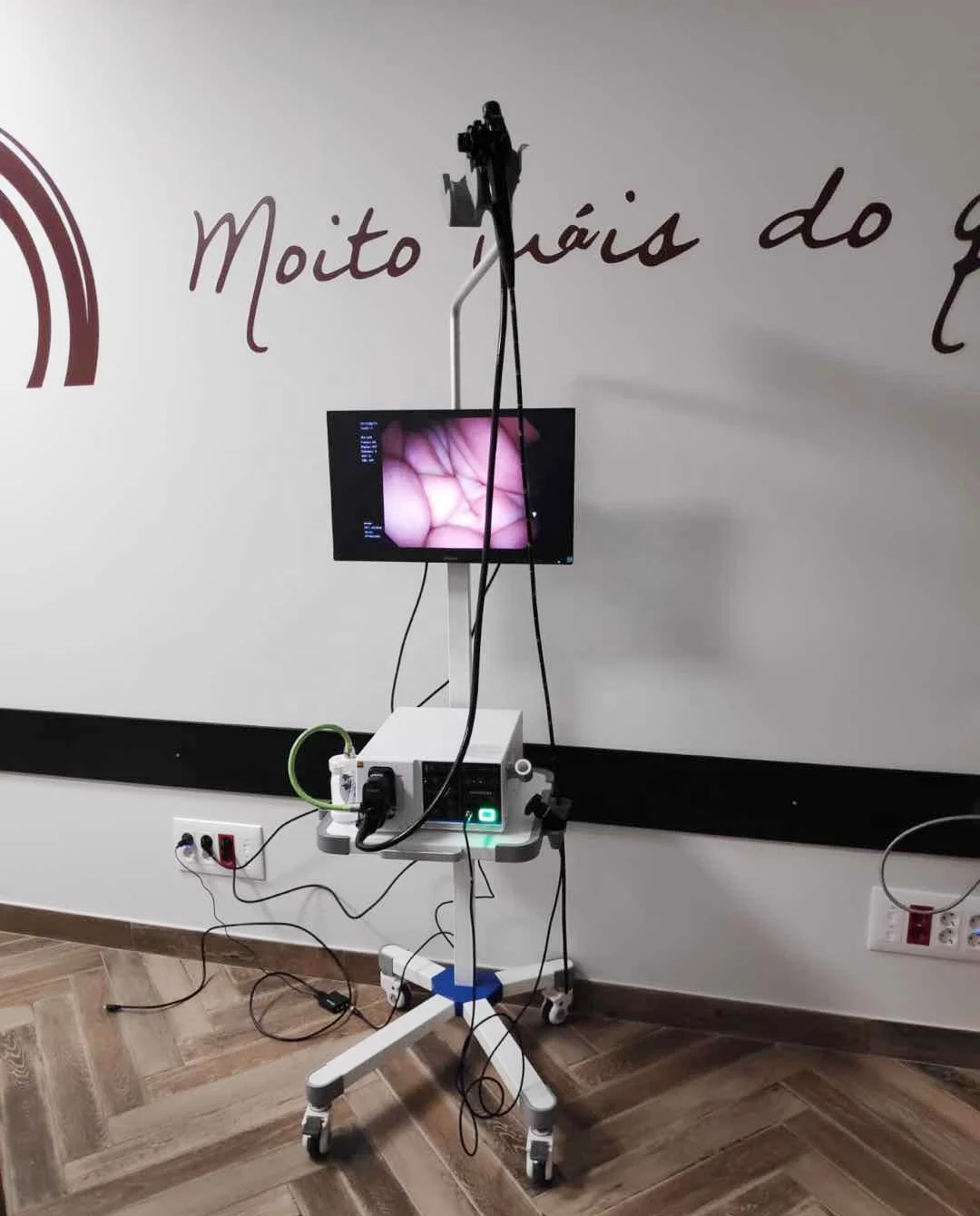 Veterinary  Video Fible Endoscopes System,All in one Portable Video colonoscopy in dogs and cats Qquine