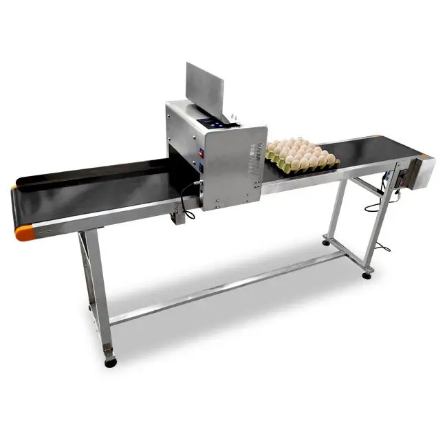 Fast speed egg printing machine/eggs inkjet printer/ date code with egg conveyor stand support