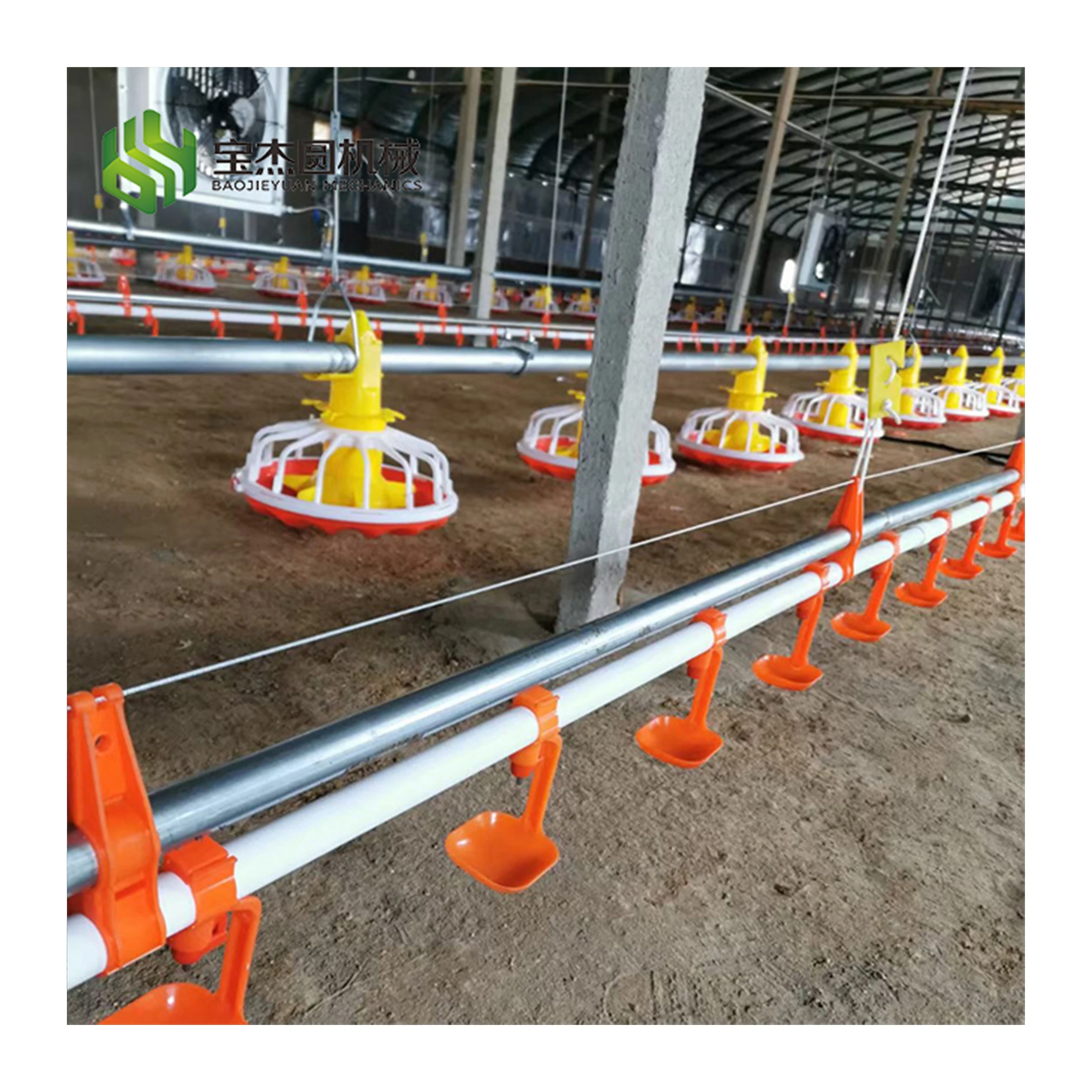 Broiler Breeder Raising Growing Equipment System Plant Line Layer Farm Poultry for Chicken House