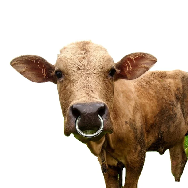 Stainless Steel Bull Rings  Cow Nose Ring  Pig Nose Brass Ring Custom Made