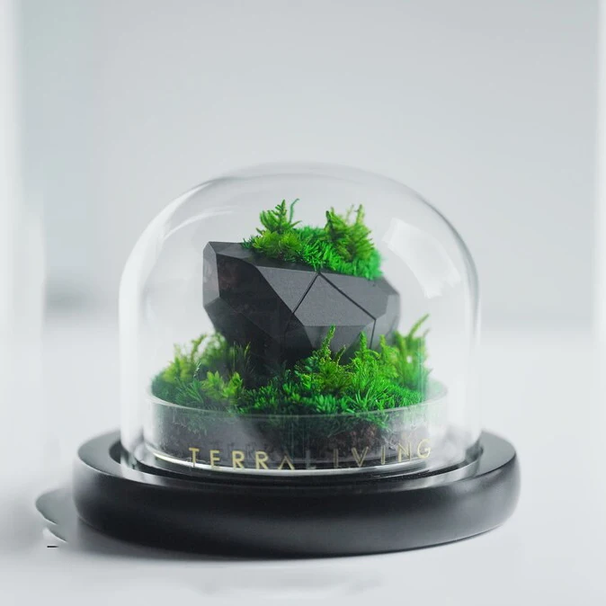 Artistic Creation Natural Moss Art Decoration Preserved Moss Stabilized Moss Terrarium