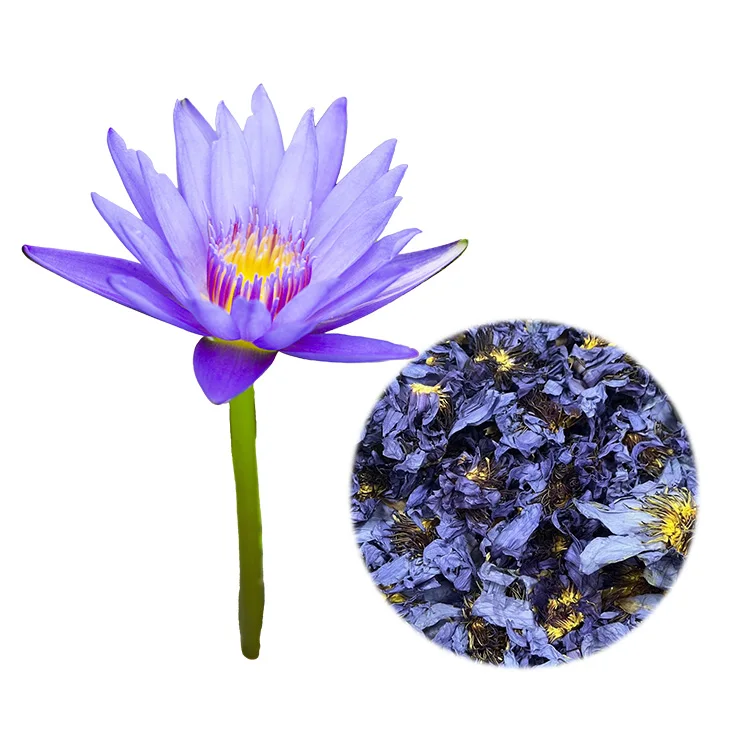 Thailand Bangladesh Egypt Dried  Handmade Herbal Organic Water Lilies 100% EU Food Grade Blue Lotus