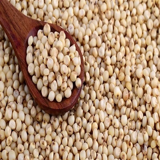 Good quality grain raw White Sorghum/High Quality Sorghum Bulk Red Sorghum (62509284025)