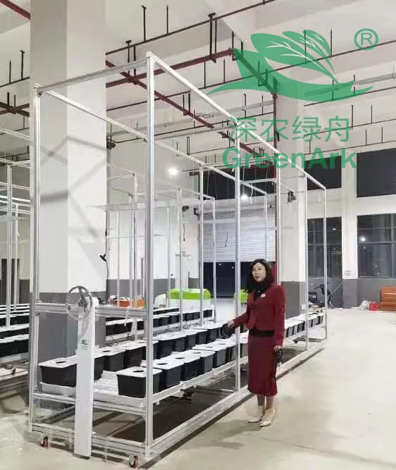 New designed Hydroponic green house system vegetable planting Nft trays growing system with automatic nutrient supply