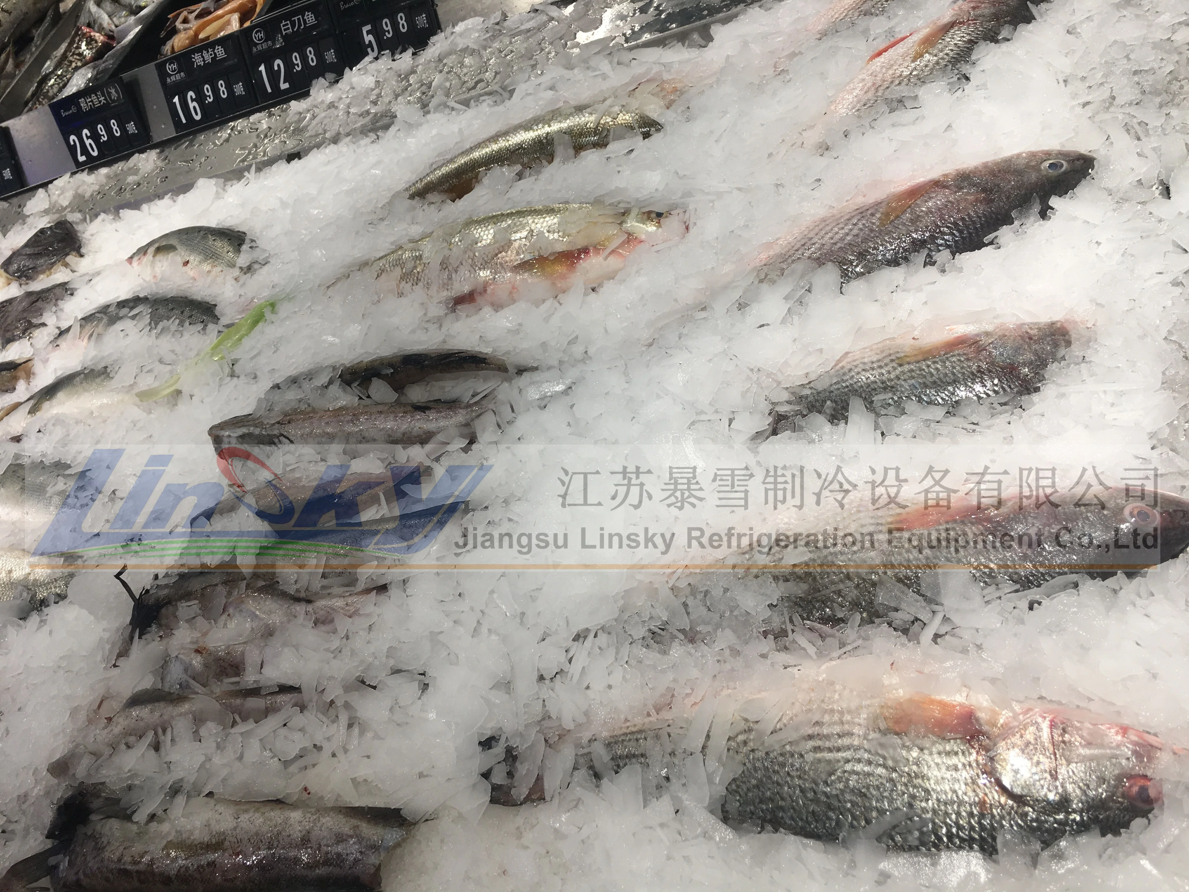 Flake Ice Machine With 3000kg Hot Sale Ice Machine Flake Commercial