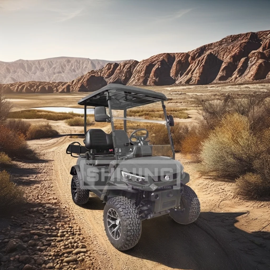 Shining Brand 4 seats electric golf carts universal enclosure with roof rack golf cart