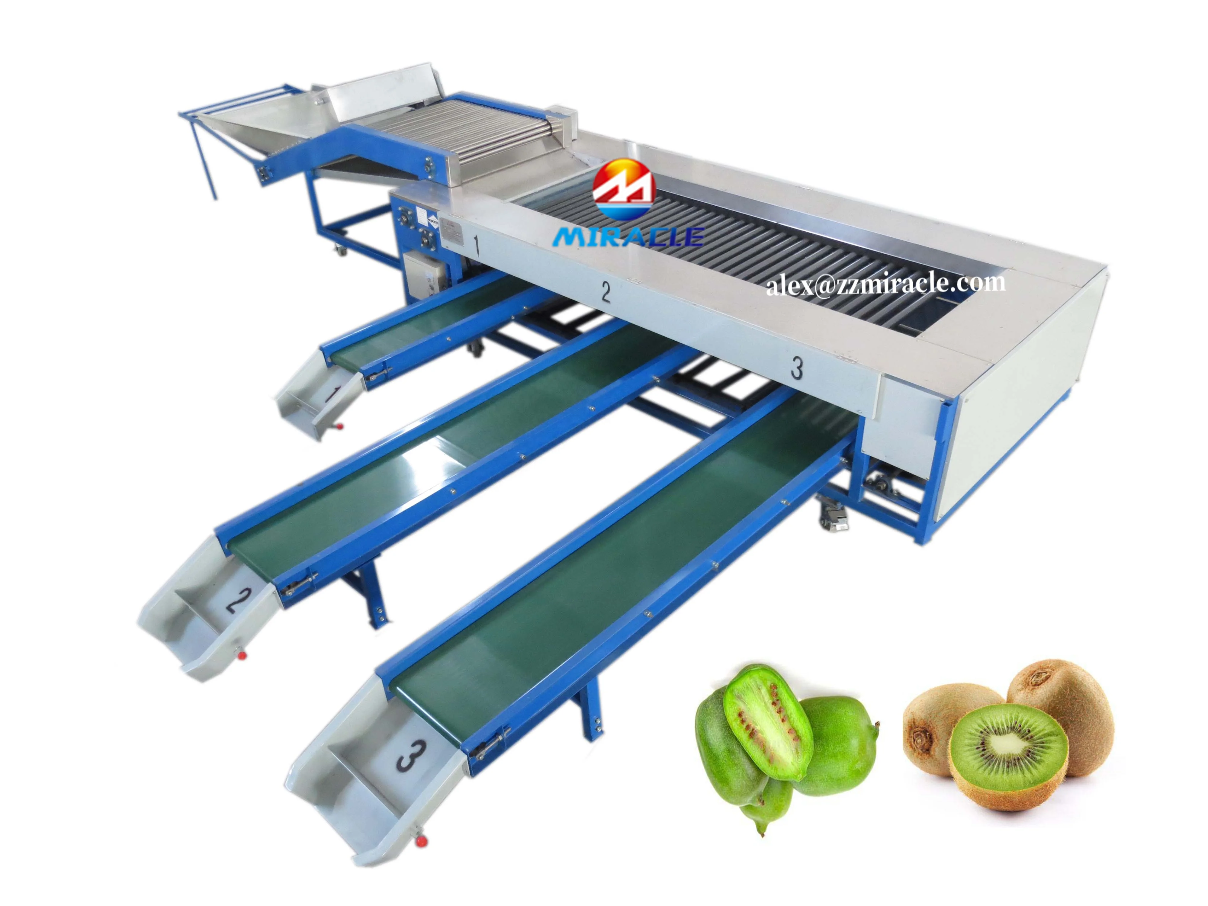 Zealand Kiwi berry Size Grading Machine Kiwi berry Weight Grader Kiwi berry Size Grader