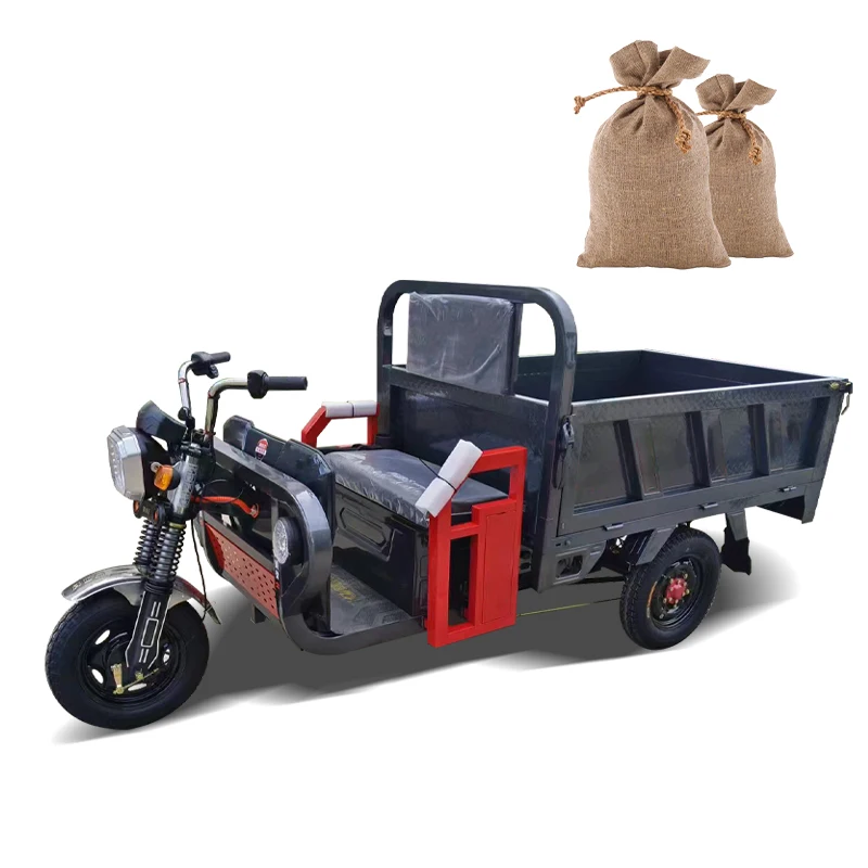 Factory Electric 3 Wheel Truck E-trike Electric Tricycle with Lift Platform for Loading and Lifting Cargo
