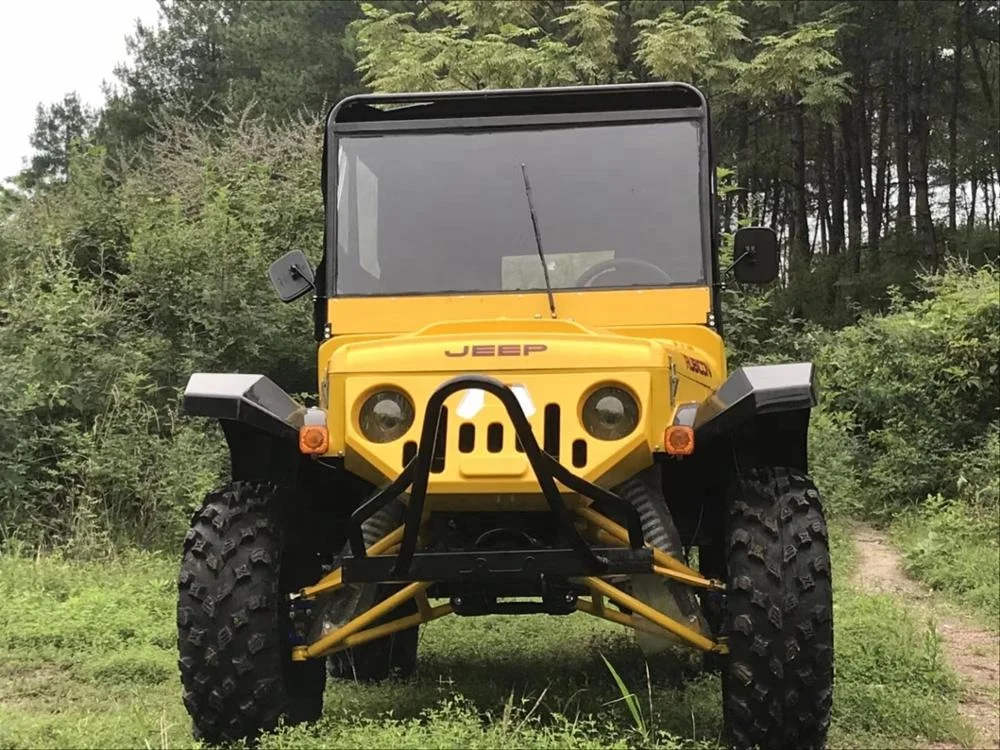 
New Design 4 People Off Road Dune Buggy/Mini Jeep/Electric Car For Fun 