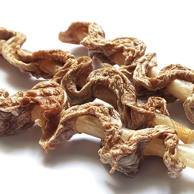 Wholesale Healthy Dog cat Treats and food Remove bad breath Duck and beef tendon skewers Pet Snacks