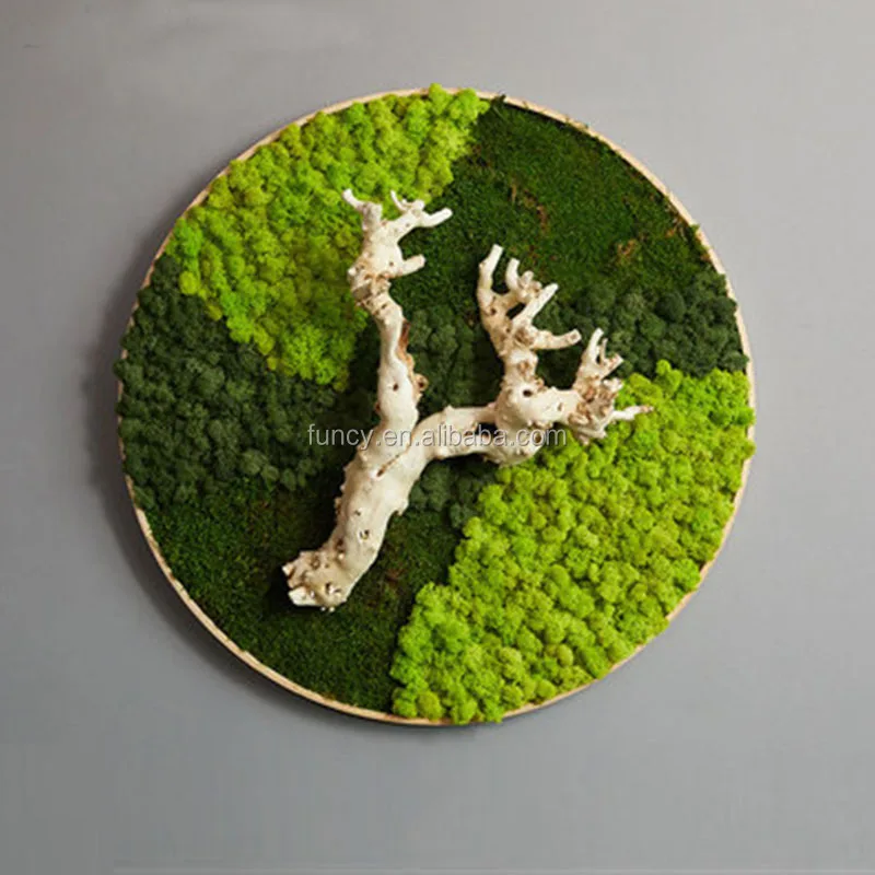 scandinavian moss Ready Made Customized Office Decoration 3D Real Natural Moss Wall Art Frame Wholesale Reindeer Moss Stabilized