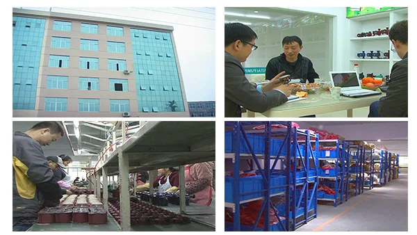 boiler water circulation pumps hot water circulation pump heating system