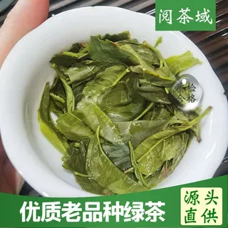 Yunnan Old variety Maofeng green tea Mingqian roasted green tea with sticky aroma and strong flavor that is resistant to soaking