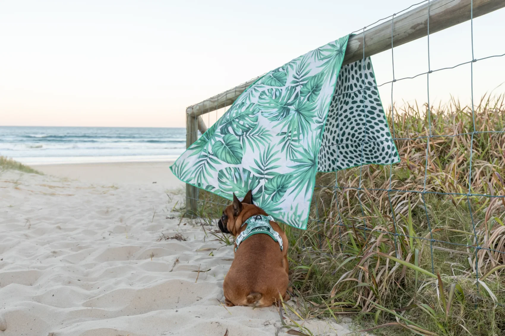 2023 New Custom Print Waffle Pet Beach Towels Sand Free Super Absorbent Microfiber Dog Towel