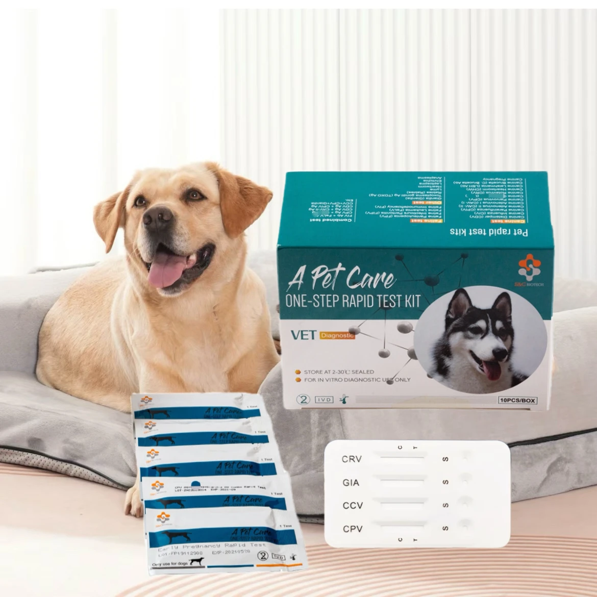 fast delivery pet tests animal hospital cassette Canine Disease Diagnosis CPV/CCV/Giardia easy detect home use tests