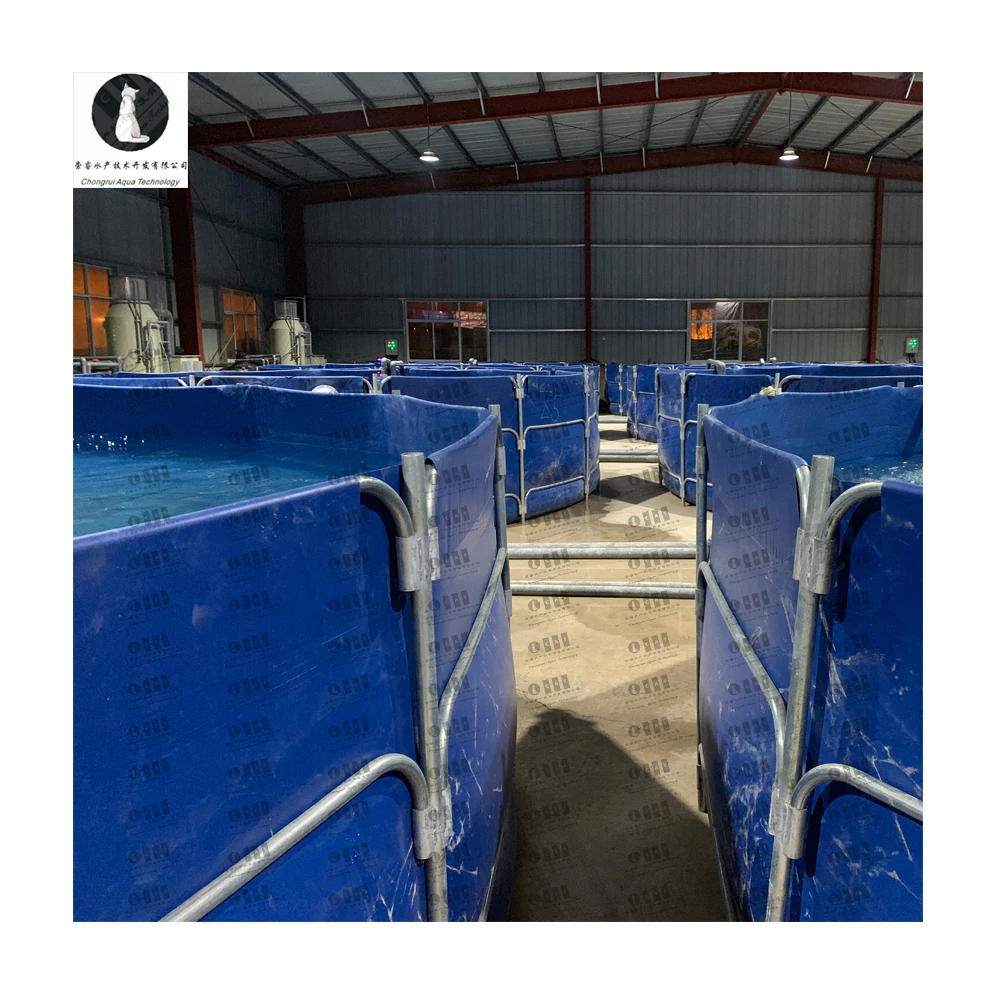 CATAQUA Indoor Fish Farm Fish Farming Equipment Aquaculture System Ras Fish Farming Equipment