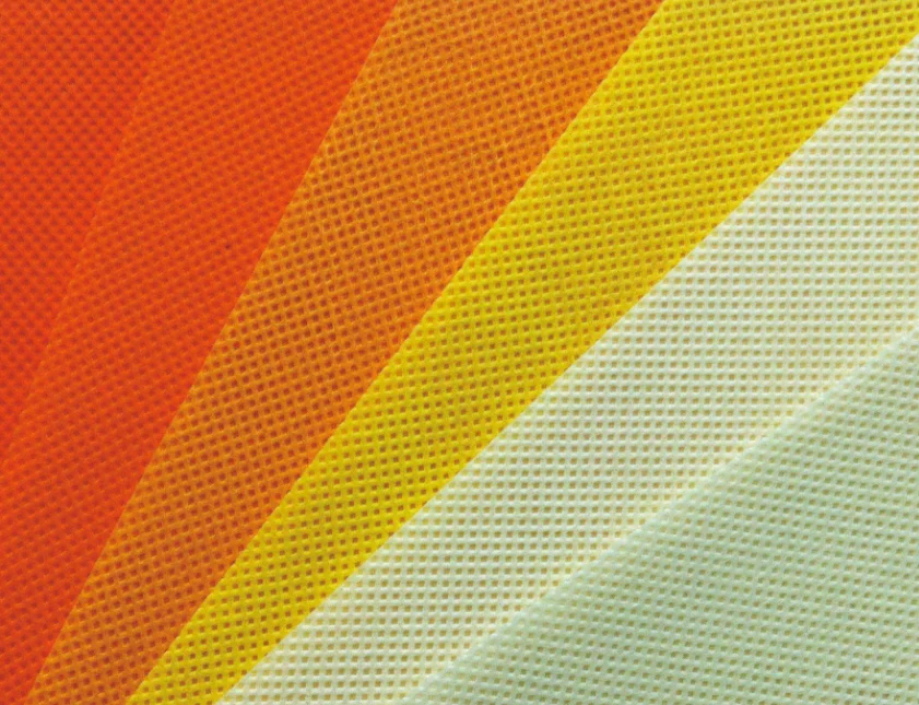 Special protective non woven bag for fruit&tree Customized reusable agriculture