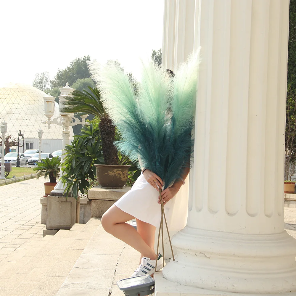 Multicolor Artificial Tiffany Blue Pampas Cortaderia Selloana Gradient Neon Pampas Phragmites Communis Pampas Seeds