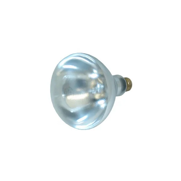 Australia Best selling Explosion proof heating Bulb 240V Infrared heat lamp R40 clear bathroom ceiling heat lamp for bath heater