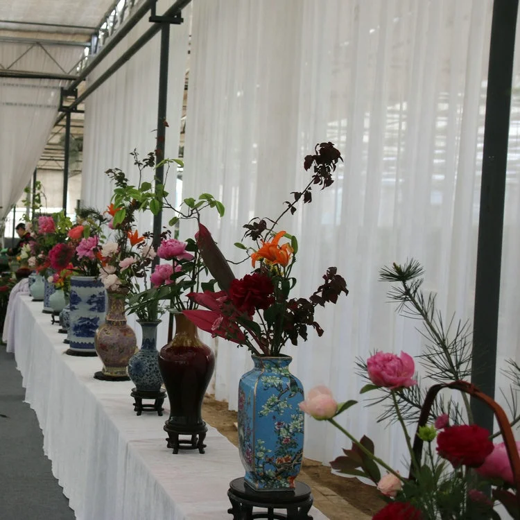 
yellow white red purple pink green black blue multi-colour herb peony cut flowers 