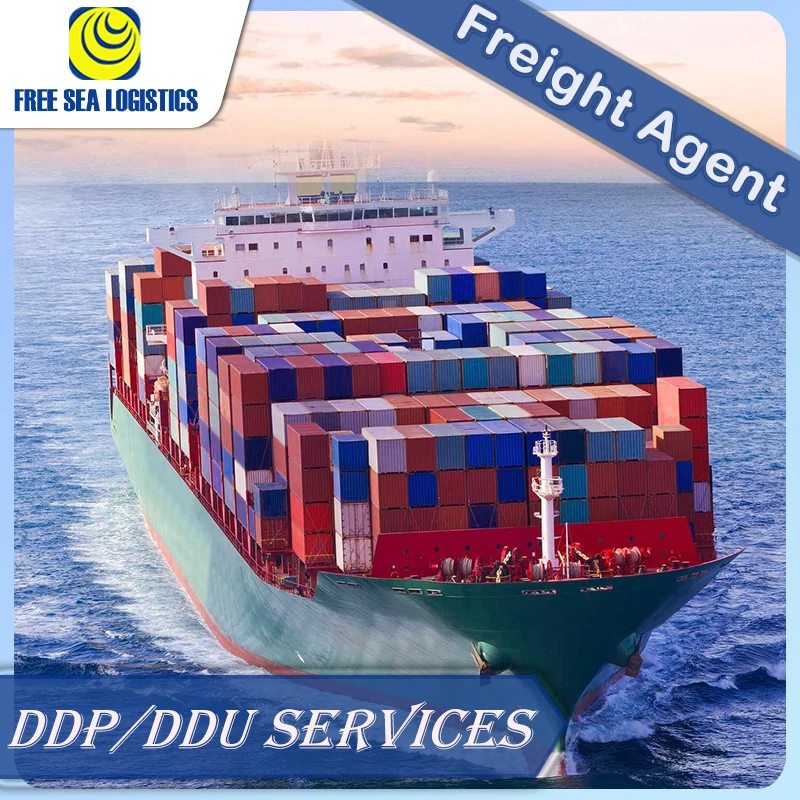 Best Door To Door Sea Freight Shipping Agent From Guangzhou China To Czech Belgium Greece Bulgaria ddp FBA LCL
