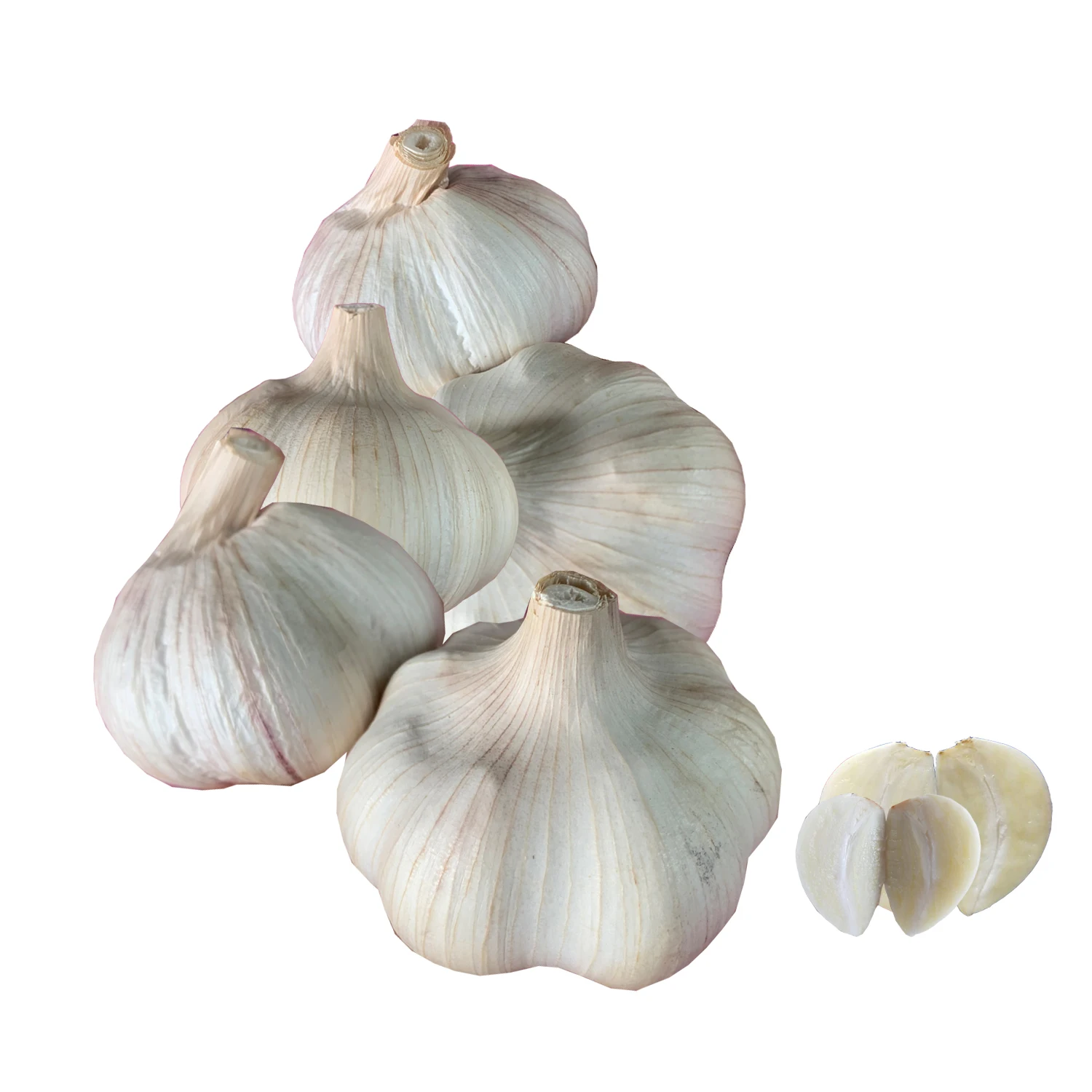 Новинка 2021, свежий китайский урожай, оптовая продажа белого чеснока оптом для экспорта по низкой цене