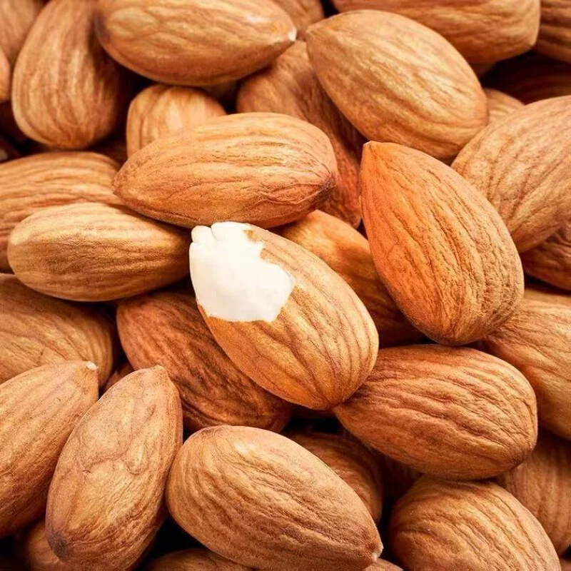 Wholesale Price Shelled Almonds Delicious And Healthy Raw Almonds Nuts