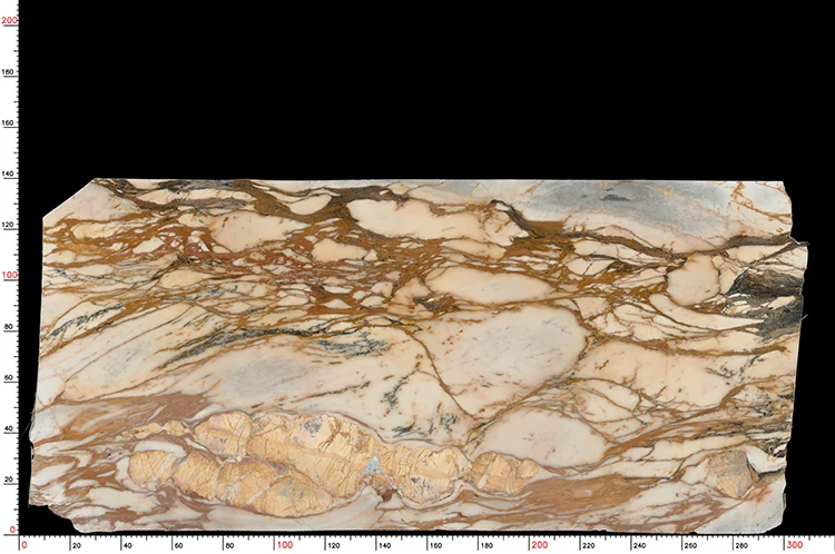 Calacatta Gold (9).jpg